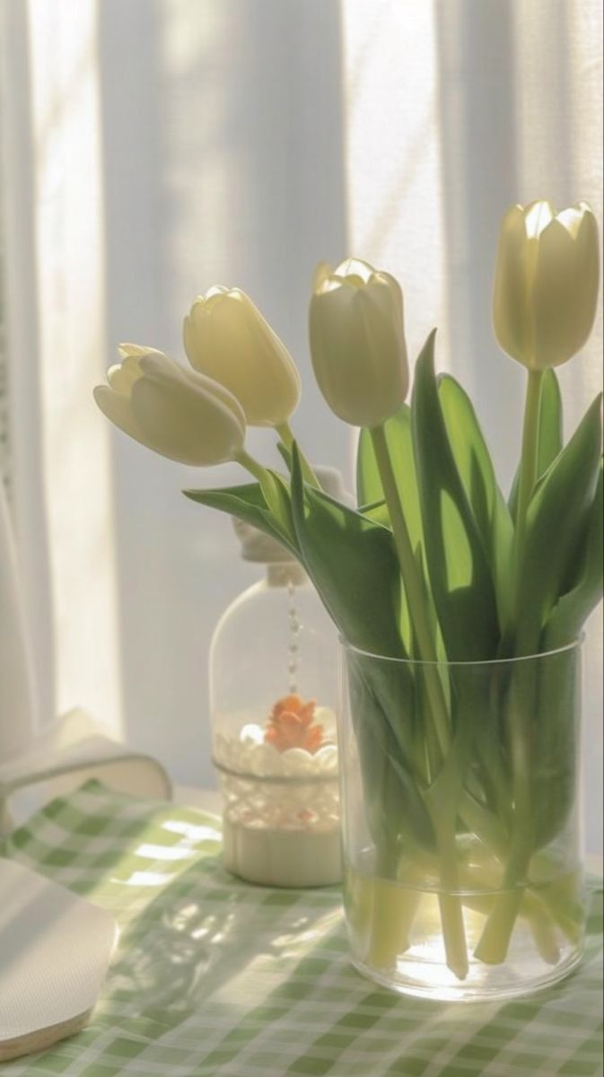 Hoa tulip bên bờ suối nhỏ