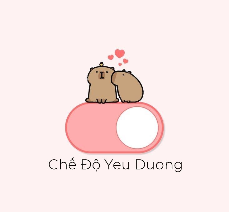 Capybara nhẹ nhàng đáng yêu