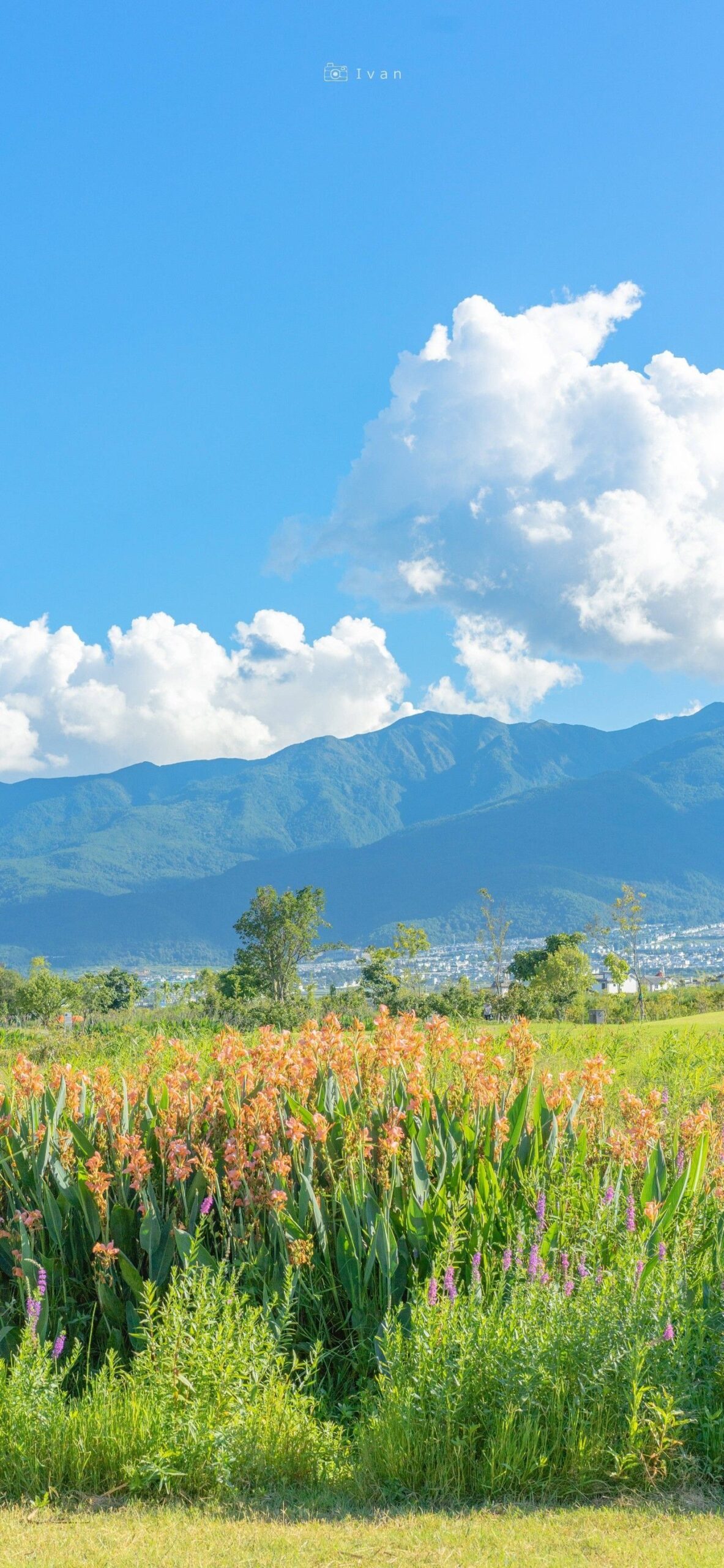 Hoa văn tự nhiên