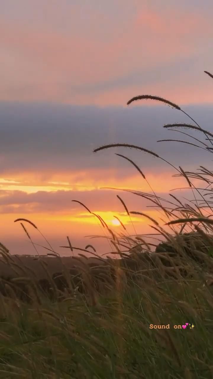 Nước mắt thiên nhiên.