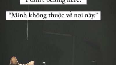 Tâm hồn tổn thương